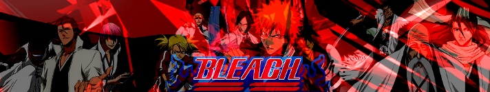 Bleach Banner Pictures, Images and Photos