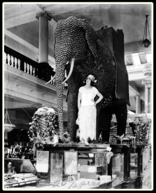 Mabel Normand, with elephant