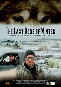 The Last Dogs Of Winter