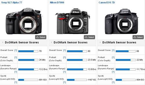 compare-2.jpg