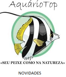 i932.photobucket.com/albums/ad165/Leovan_Dielle/NOVIDADES_zps37kfpcmk.png