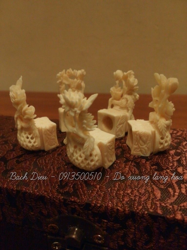 Cửa hàng Bách Điểu - chuyên phụ kiện chim cao cấp & độc