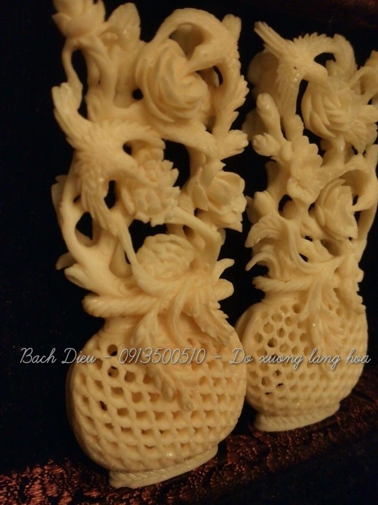 Cửa hàng Bách Điểu - chuyên phụ kiện chim cao cấp & độc - 2