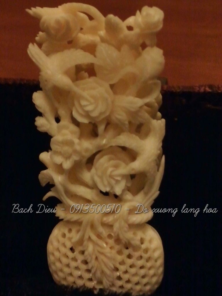 Cửa hàng Bách Điểu - chuyên phụ kiện chim cao cấp & độc - 1