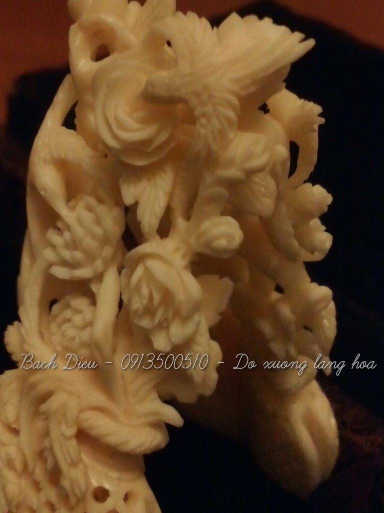 Cửa hàng Bách Điểu - chuyên phụ kiện chim cao cấp & độc - 3