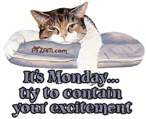 Monday_Cat-002.gif