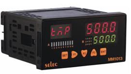Selec make PLC’S MM 1013 (48 x 96),Built in HMI(www.selectautomations.net)