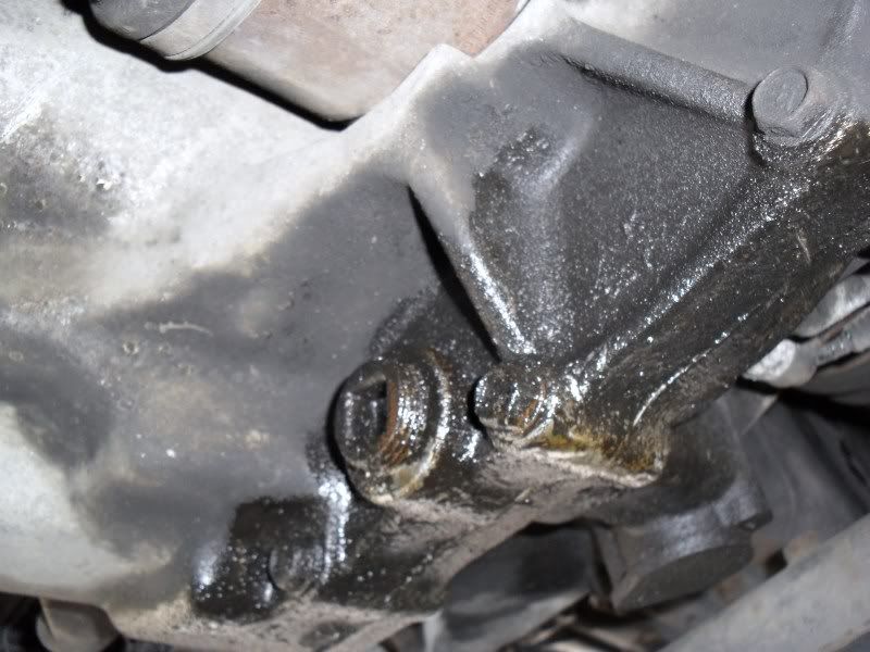 Sump Leak Rough Prices Fix? Micra Sports Club