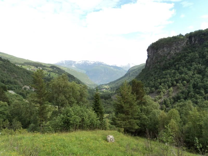Bilde