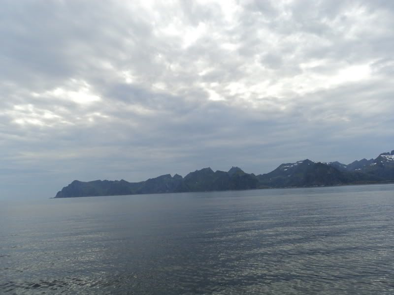 Bilde