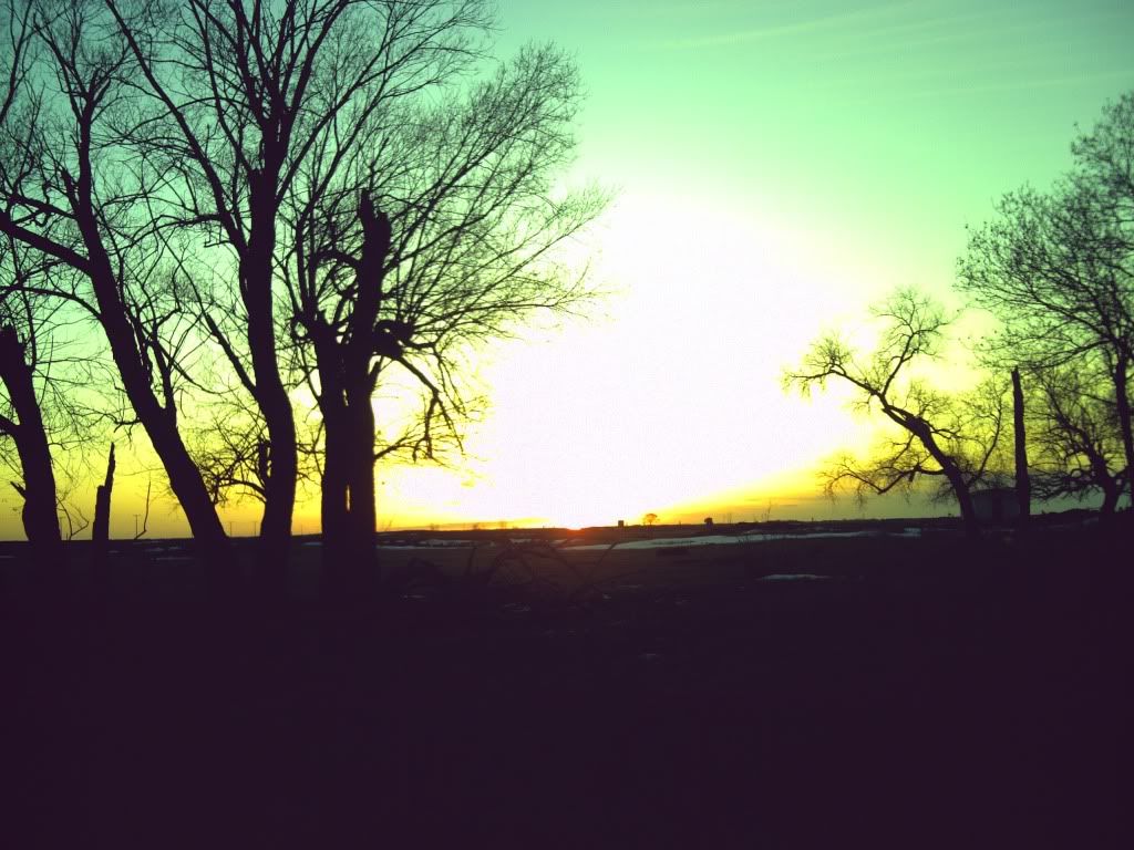 Posted Image