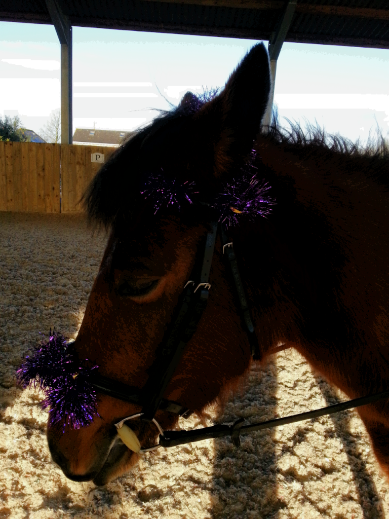 2013-12-22110207_zpse946e650.png