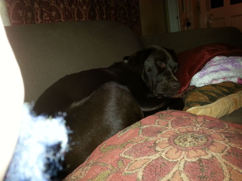 20131118_202227_zps2d51e7fd.jpg