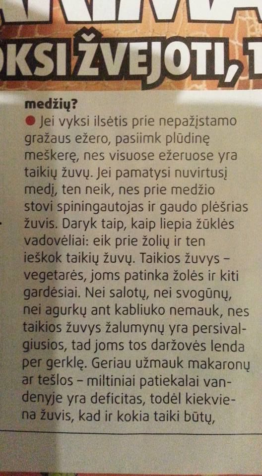 Paveikslėlis