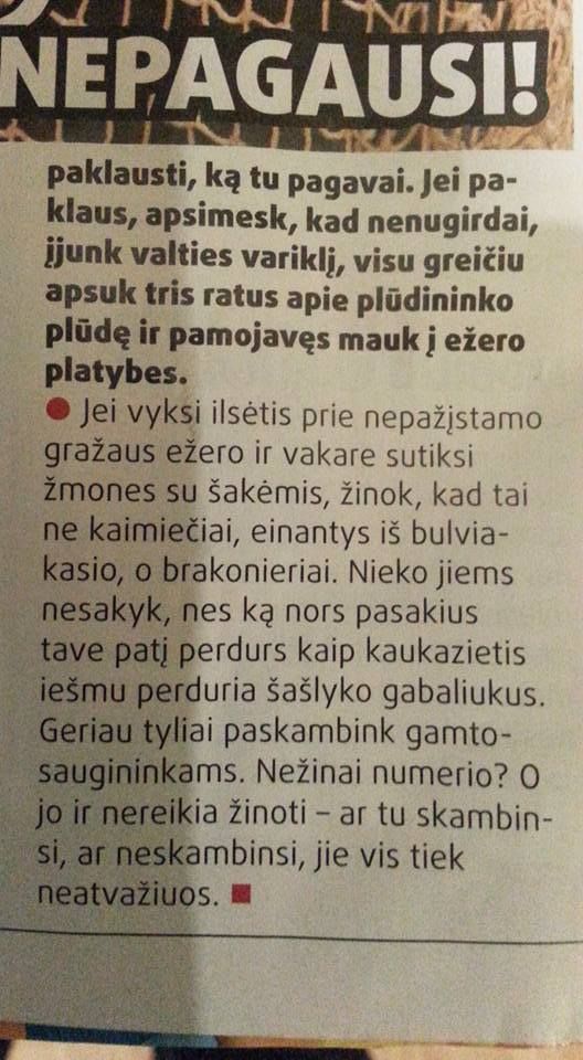Paveikslėlis