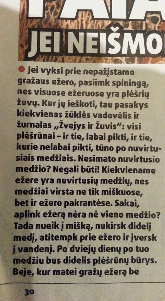 Paveikslėlis