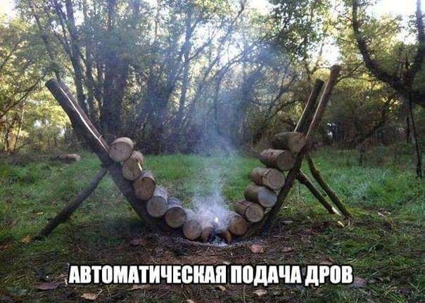 Paveikslėlis