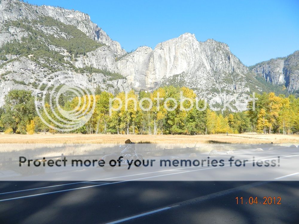 Couple pics of Yosemite Valley ride - Page 2 - Harley Davidson Forums