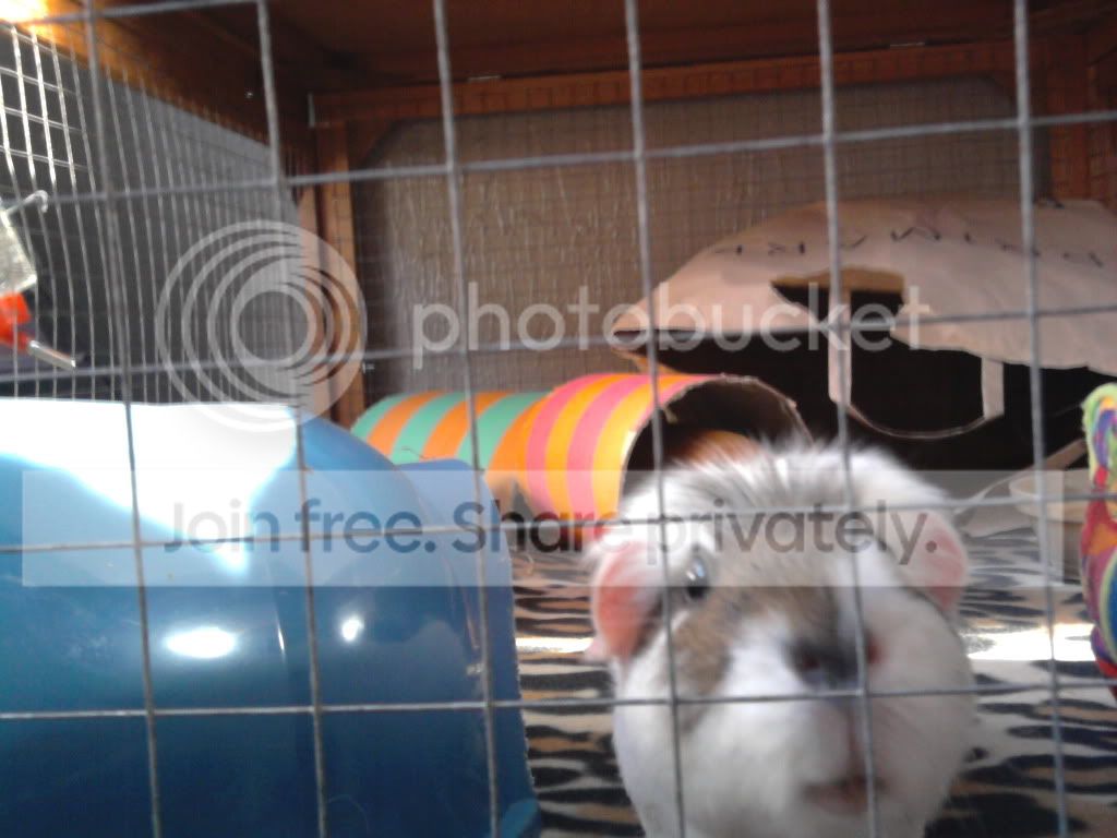 Copy2ofPhoto0062.jpg