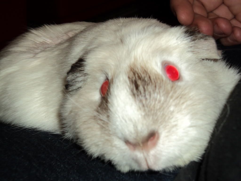 DSC00027.jpg