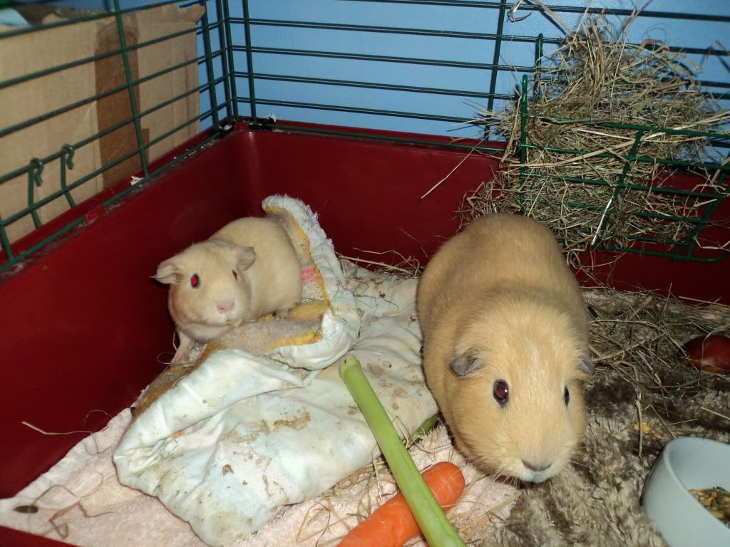 DSC00038.jpg