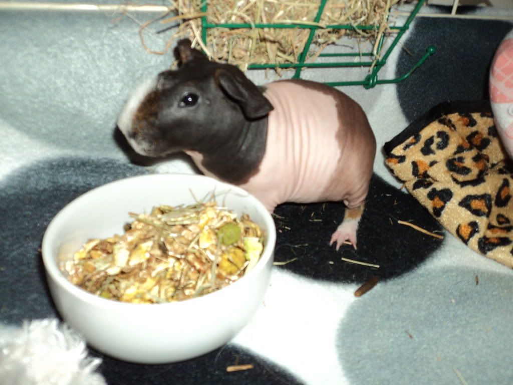 DSC00907.jpg