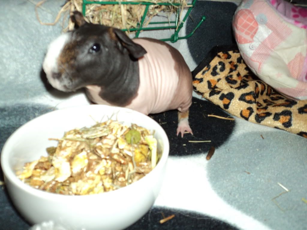 DSC00908.jpg