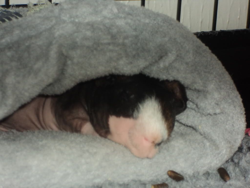 DSC02571.jpg