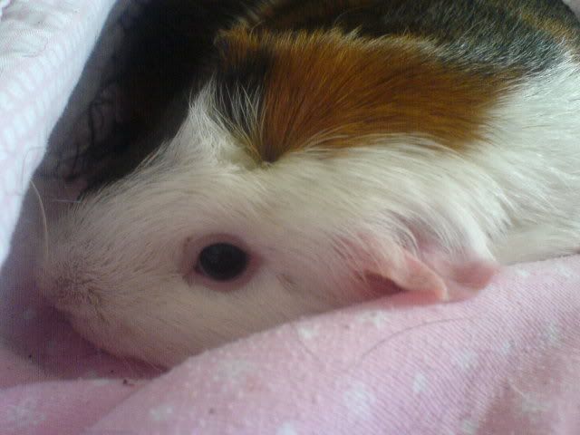 DSC03505.jpg