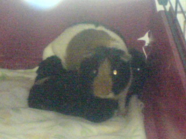 DSC03599.jpg
