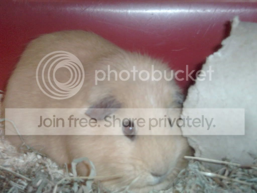 PICT0085.jpg