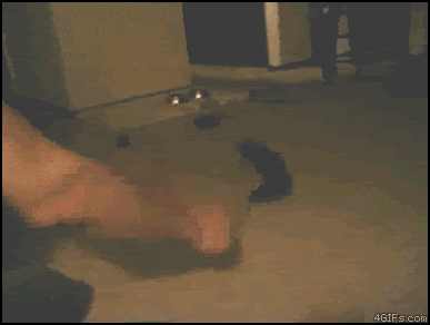 mmzs6e.gif