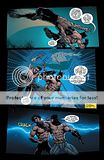 Batman vs Nightwing p3 photo nightwing30-batmanvsnightwing3.jpg